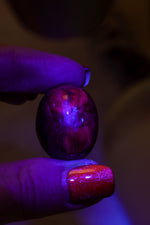 Double Star Sapphire Egg 24gr Eggs Tali & Loz Crystals