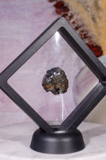 Dravite Brown Tourmaline | Raw | 17.72g Minerals Tali & Loz