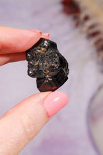 Dravite Brown Tourmaline | Raw | 17.72g Minerals Tali & Loz
