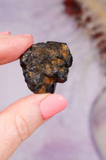 Dravite Brown Tourmaline | Raw | 17.72g Minerals Tali & Loz