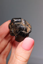 Dravite Brown Tourmaline | Raw | 17.72g Minerals Tali & Loz