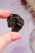 Dravite Brown Tourmaline | Raw | 17.72g Minerals Tali & Loz