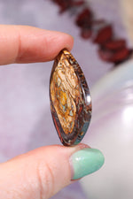 Drilled Yowah Boulder Opal Pendant 6.85gr Rocks & Fossils Tali & Loz Crystals