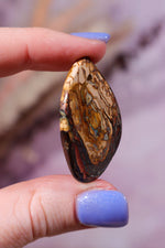 Drilled Yowah Boulder Opal Pendant 6.85gr - Tali & Loz Crystals