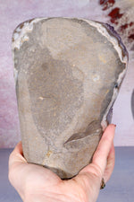 Druzy Amethyst Cut Base Freeform 2KG Freeform Tali & Loz Crystals