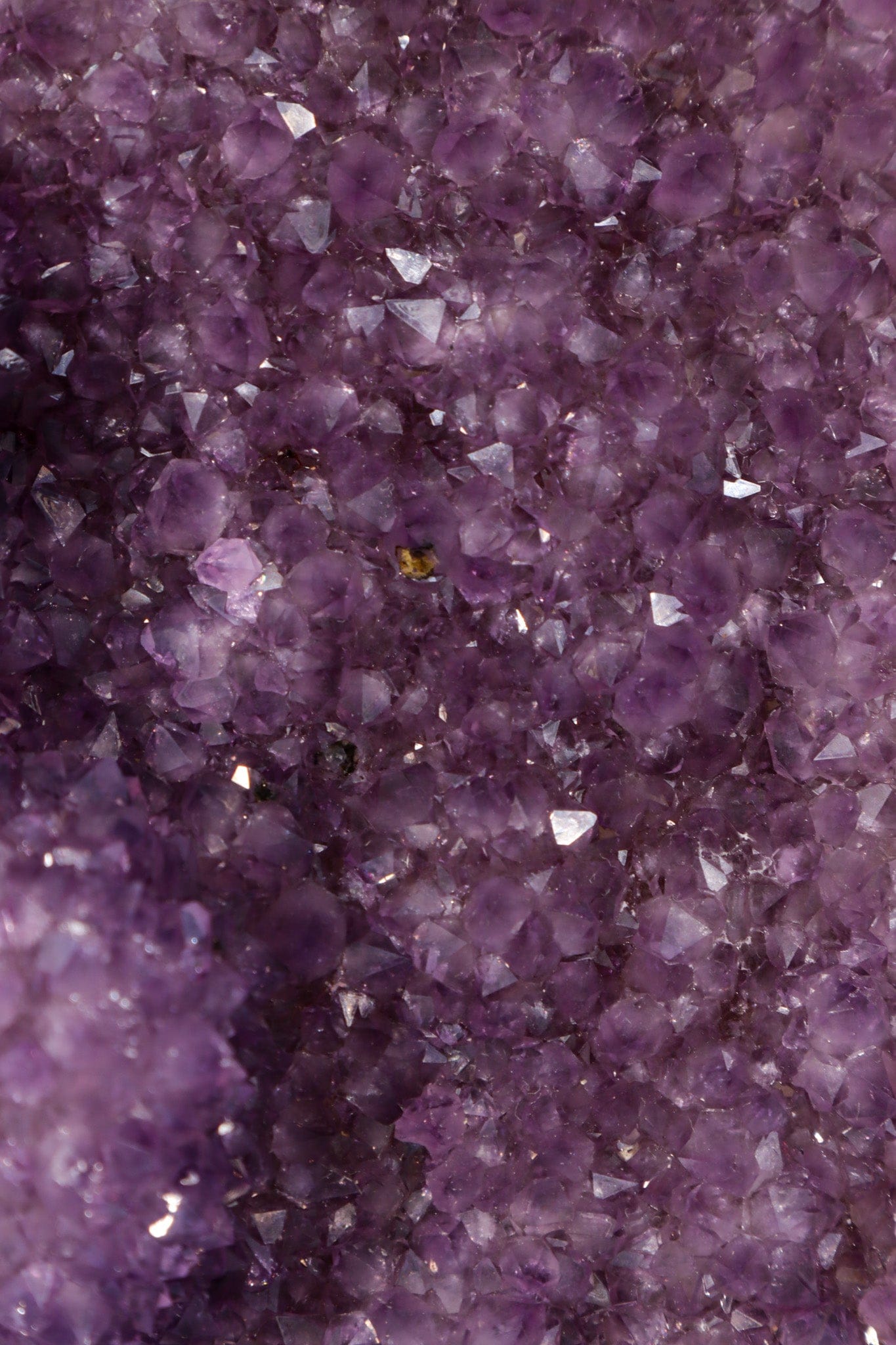 Druzy Amethyst Cut Base Freeform 2KG Freeform Tali & Loz Crystals