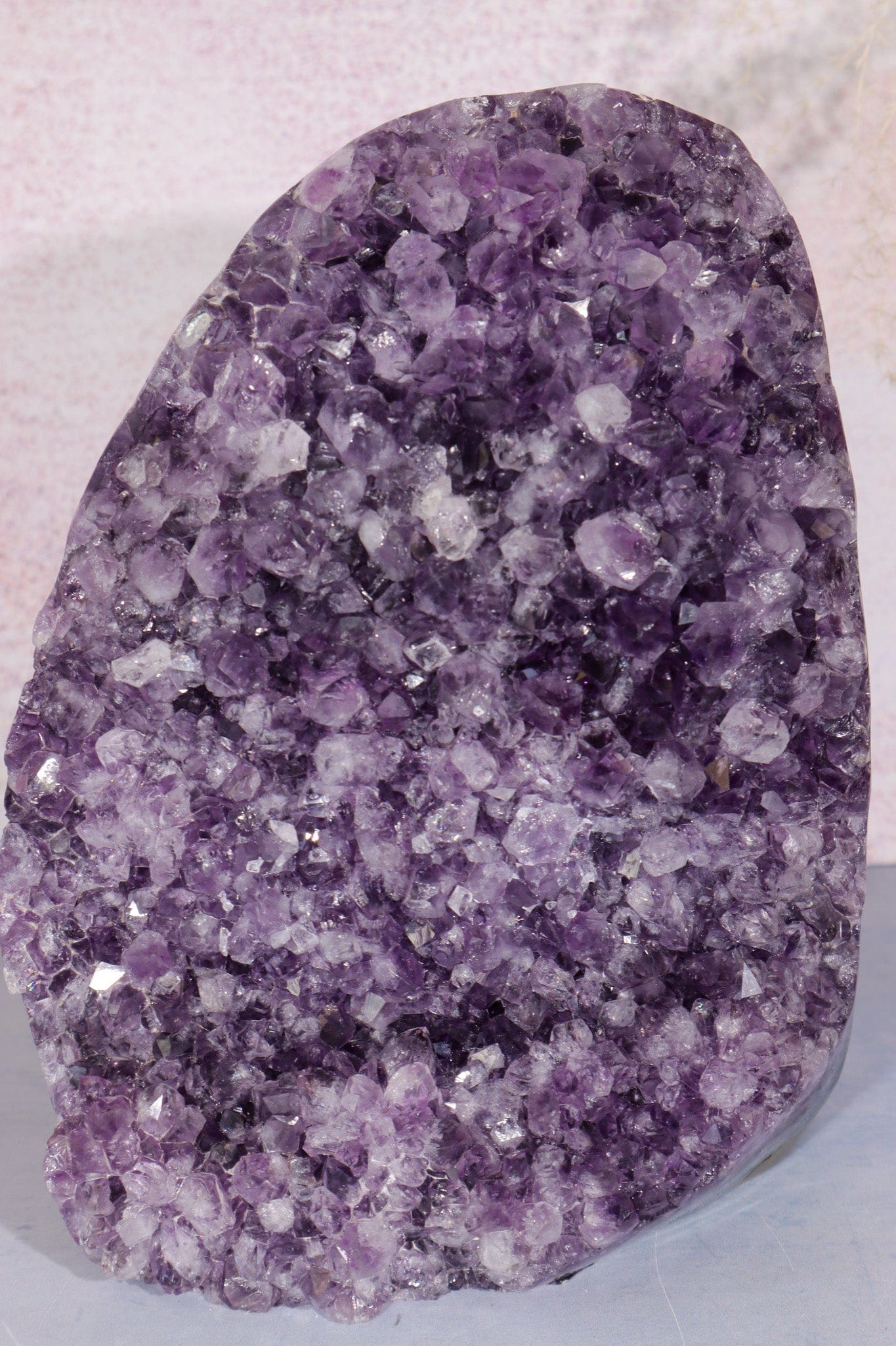 Druzy Amethyst Cut Base Freeform 4.4KG Freeform Tali & Loz Crystals