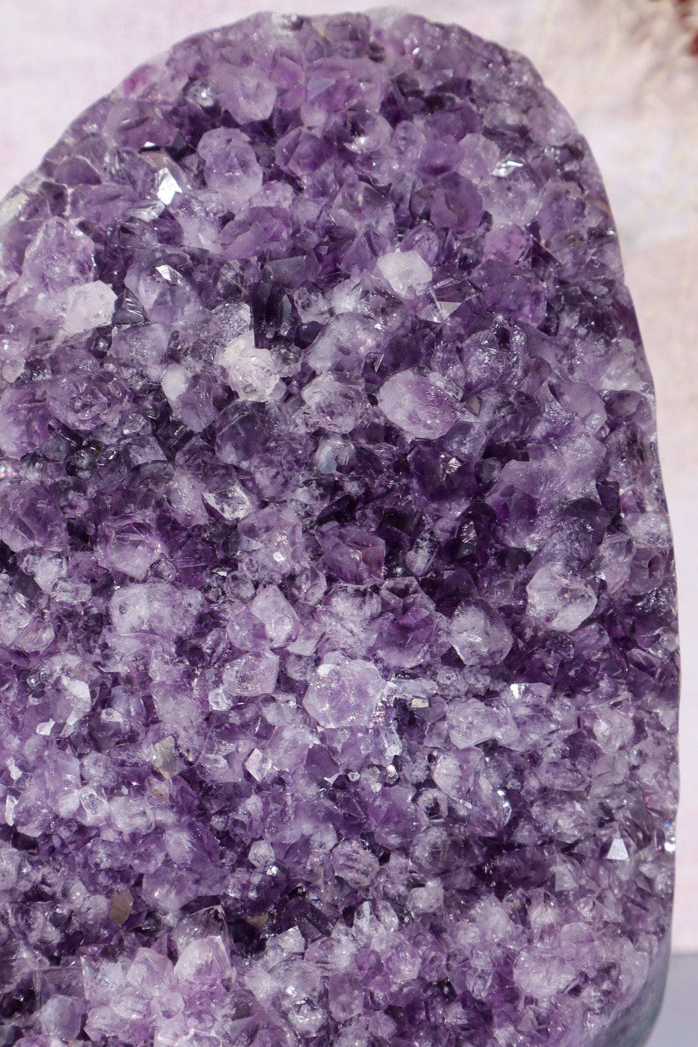 Druzy Amethyst Cut Base Freeform 4.4KG Freeform Tali & Loz Crystals