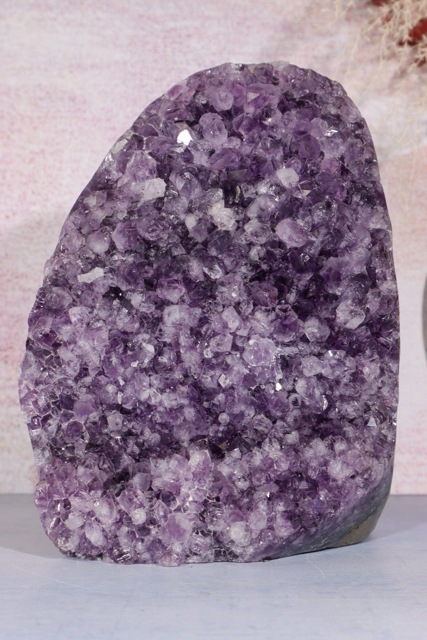 Druzy Amethyst Cut Base Freeform 4.4KG Freeform Tali & Loz Crystals