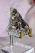 Druzy Black Amethyst Specimen 6cm Specimen Tali & Loz Crystals