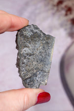 Druzy Black Amethyst Specimen 6cm Specimen Tali & Loz Crystals