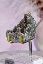 Druzy Black Amethyst Specimen 6cm Specimen Tali & Loz Crystals