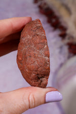 Dulcote Agate Slice | Choose Your Piece (A–C) | Somerset, UK Mineral Specimen Tali & Loz Crystals