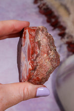 Dulcote Agate Slice | Choose Your Piece (A–C) | Somerset, UK Mineral Specimen Tali & Loz Crystals