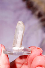 Dumortierite in Quartz Raw Crystal Point, 3cm, Brazil, Sold as Seen Minerals Tali & Loz Crystals