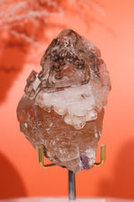 Elestial Smokey Quartz on Citrine with Tourmaline 375gr Minerals Tali & Loz Crystals