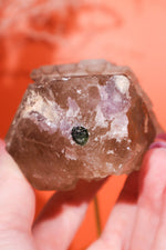 Elestial Smokey Quartz on Citrine with Tourmaline 375gr Minerals Tali & Loz Crystals