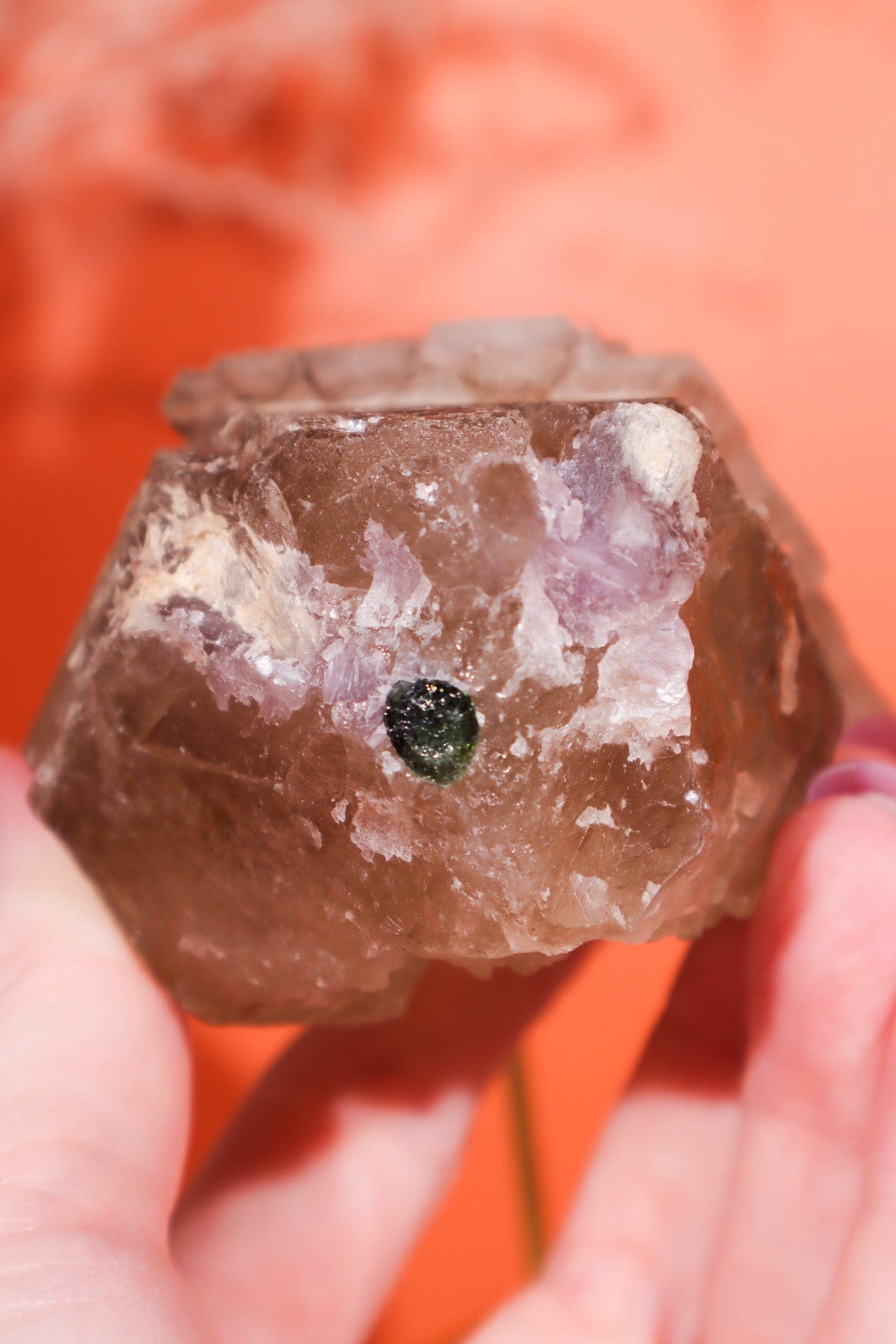 Elestial Smokey Quartz on Citrine with Tourmaline 375gr Minerals Tali & Loz Crystals