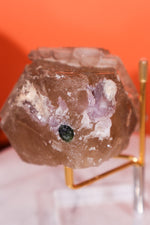 Elestial Smokey Quartz on Citrine with Tourmaline 375gr Minerals Tali & Loz Crystals