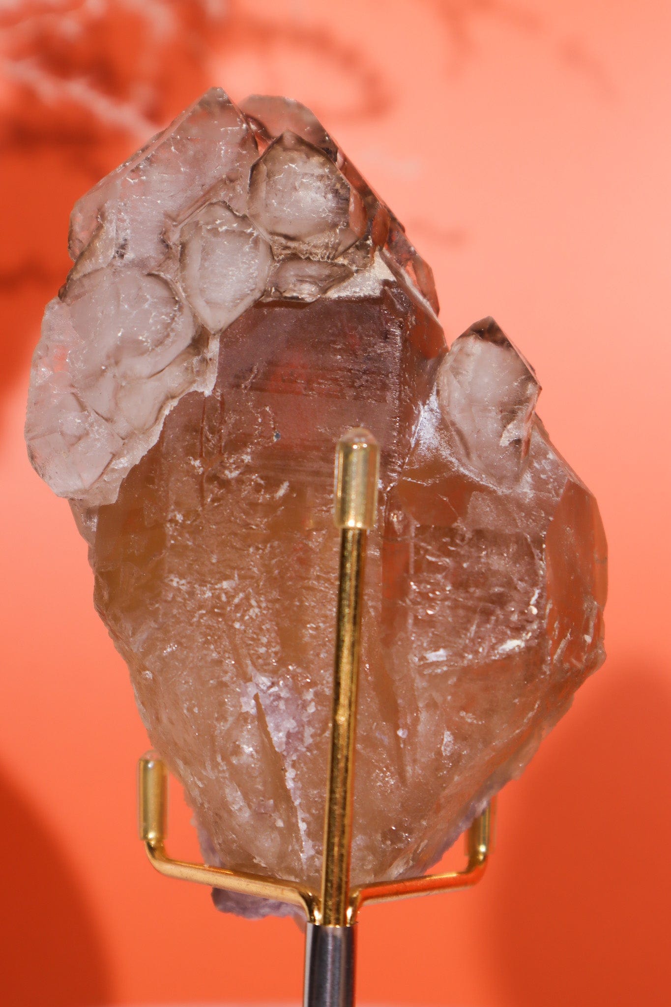 Elestial Smokey Quartz on Citrine with Tourmaline 375gr Minerals Tali & Loz Crystals