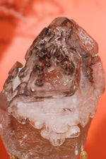 Elestial Smokey Quartz on Citrine with Tourmaline 375gr Minerals Tali & Loz Crystals