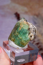 Emerald Triplet | Multi-Column Growth | 47.43g | Colombia Minerals Tali & Loz Crystals