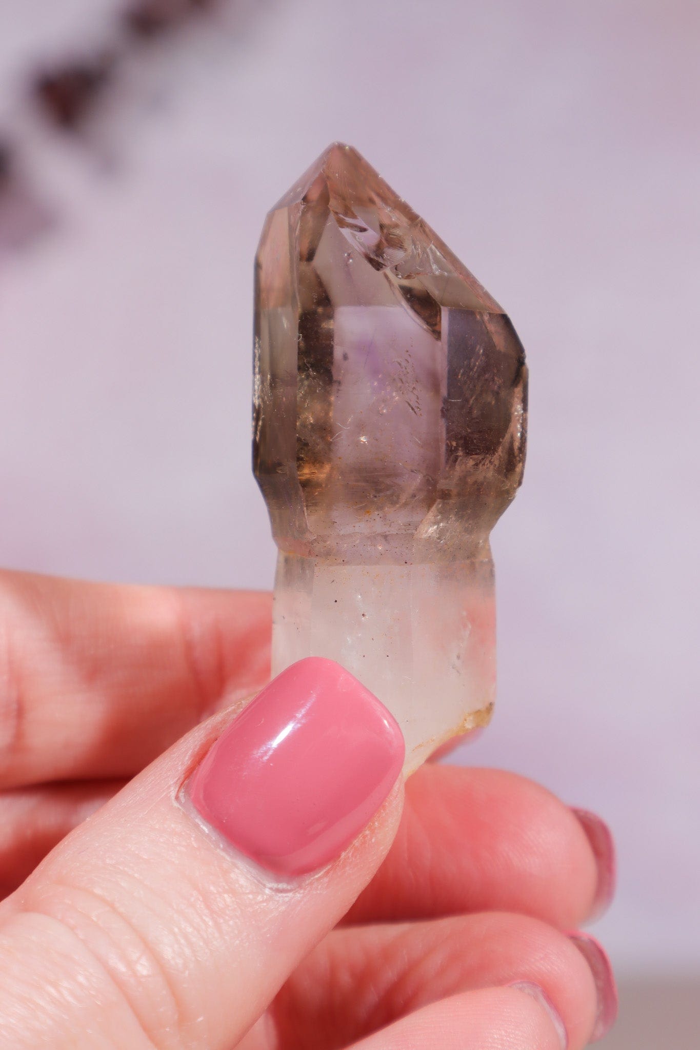 Enhydro Smokey and Amethyst Phantom Scepter 5.5cm - Tali & Loz Crystals