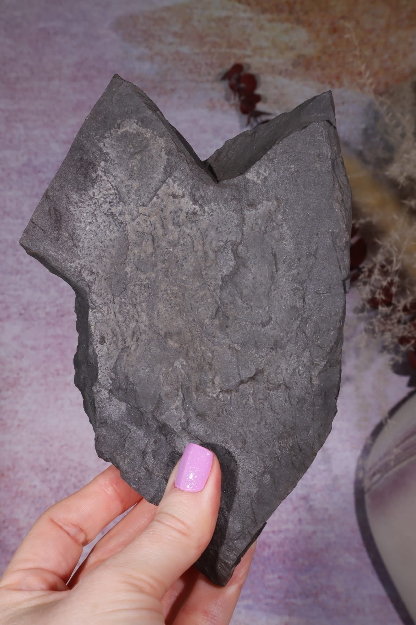 Fern Fossil Specimen, USA 17cm Fossil Tali & Loz Crystals