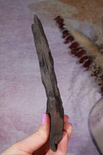 Fern Fossil Specimen, USA 17cm Fossil Tali & Loz Crystals