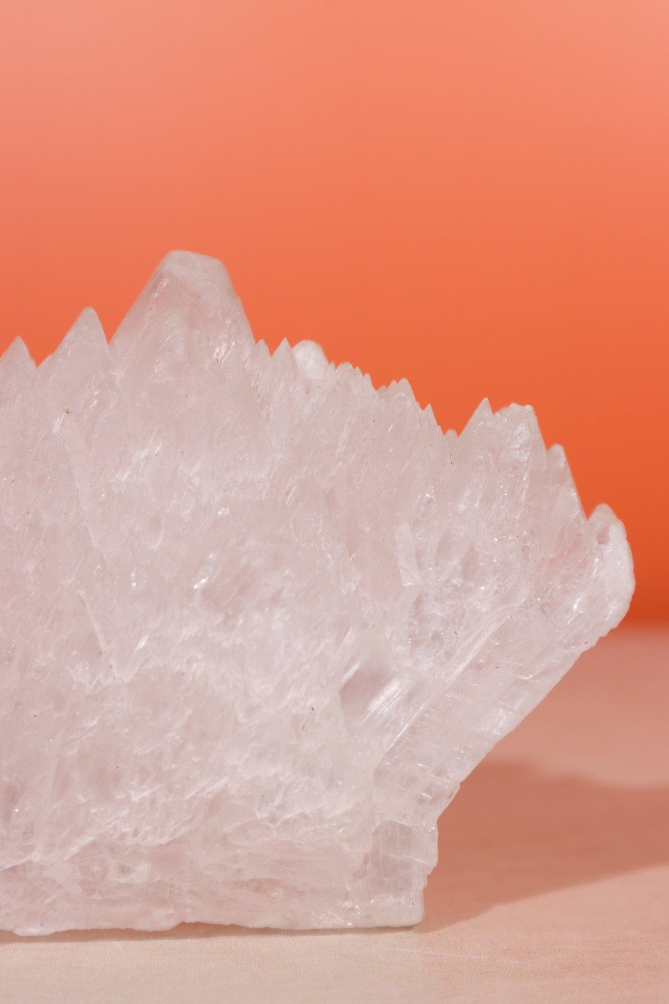 Fishtail Selenite Specimen 363gr - Tali & Loz Crystals