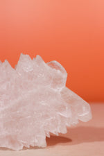 Fishtail Selenite Specimen 363gr - Tali & Loz Crystals