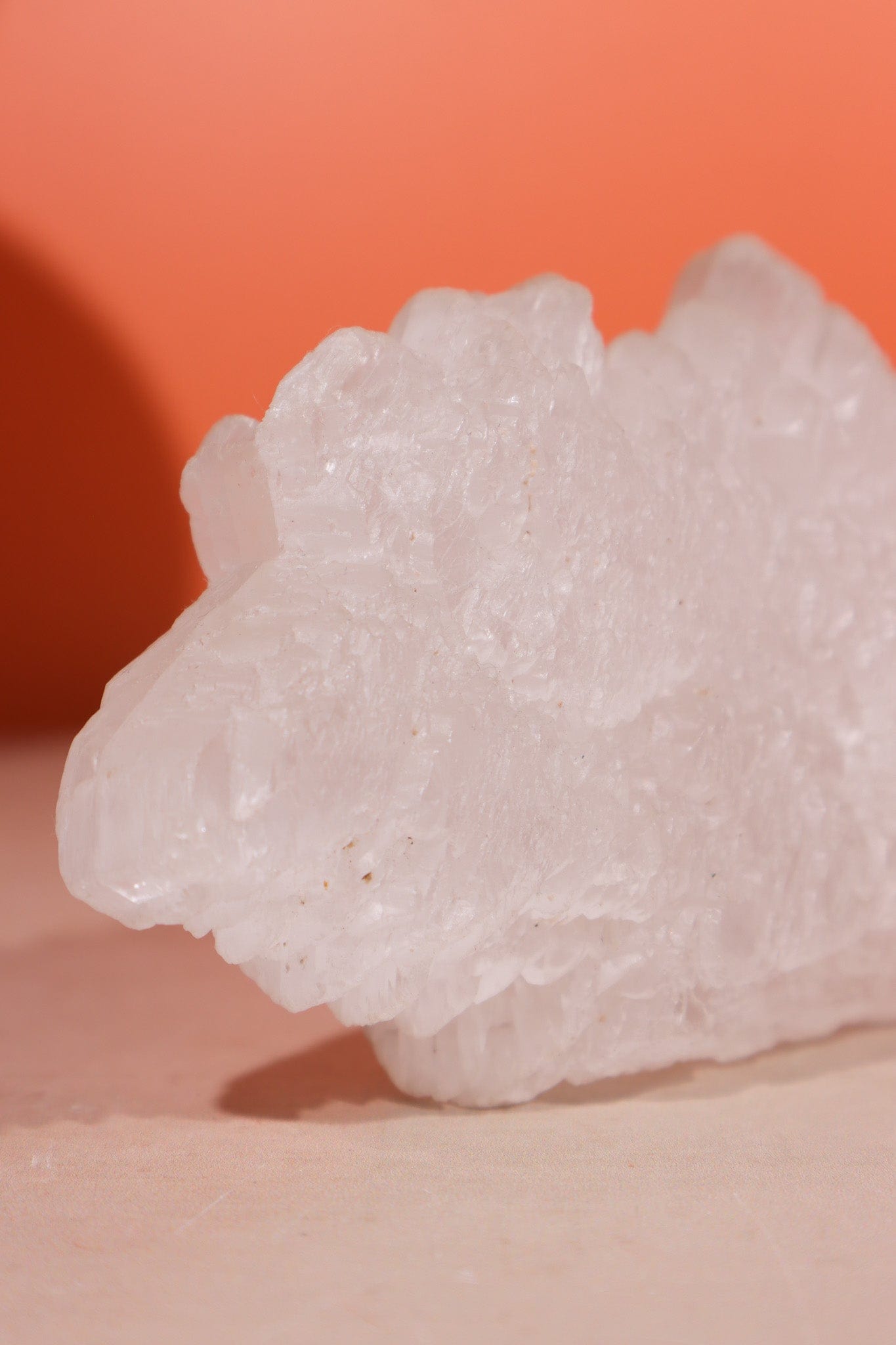 Fishtail Selenite Specimen 363gr - Tali & Loz Crystals