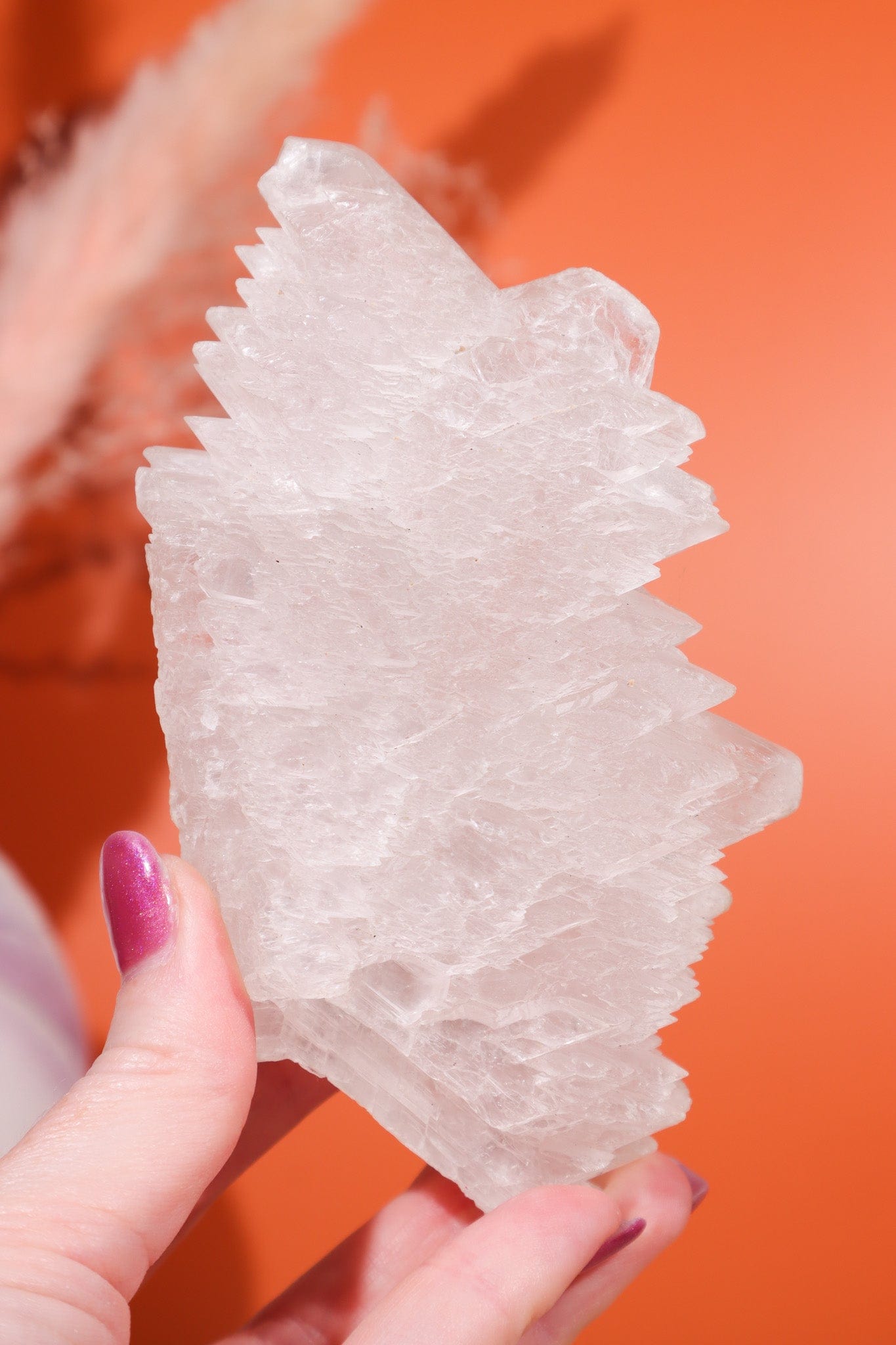 Fishtail Selenite Specimen 363gr - Tali & Loz Crystals
