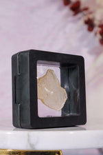 Floating Transparent Display Case no Base 5cm Specimen Stand Tali & Loz Crystals