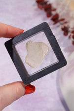 Floating Transparent Display Case no Base 5cm Specimen Stand Tali & Loz Crystals