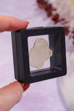 Floating Transparent Display Case no Base 5cm Specimen Stand Tali & Loz Crystals