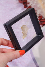 Floating Transparent Display Case no Base 9cm Specimen Stand Tali & Loz Crystals