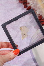 Floating Transparent Display Case no Base 9cm Specimen Stand Tali & Loz Crystals