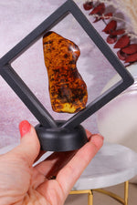 Floating Transparent Display Case Specimen Stand Tali & Loz Crystals