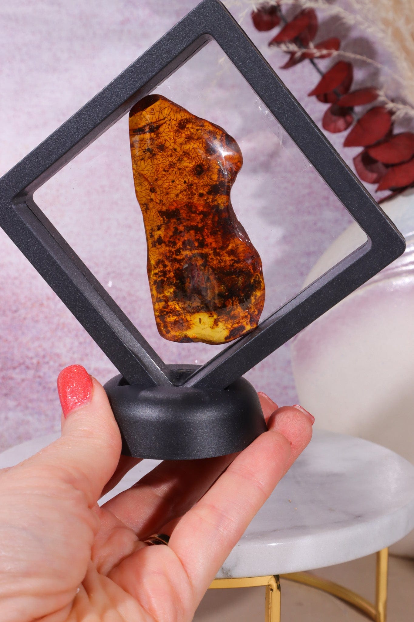 Floating Transparent Display Case Specimen Stand Tali & Loz Crystals