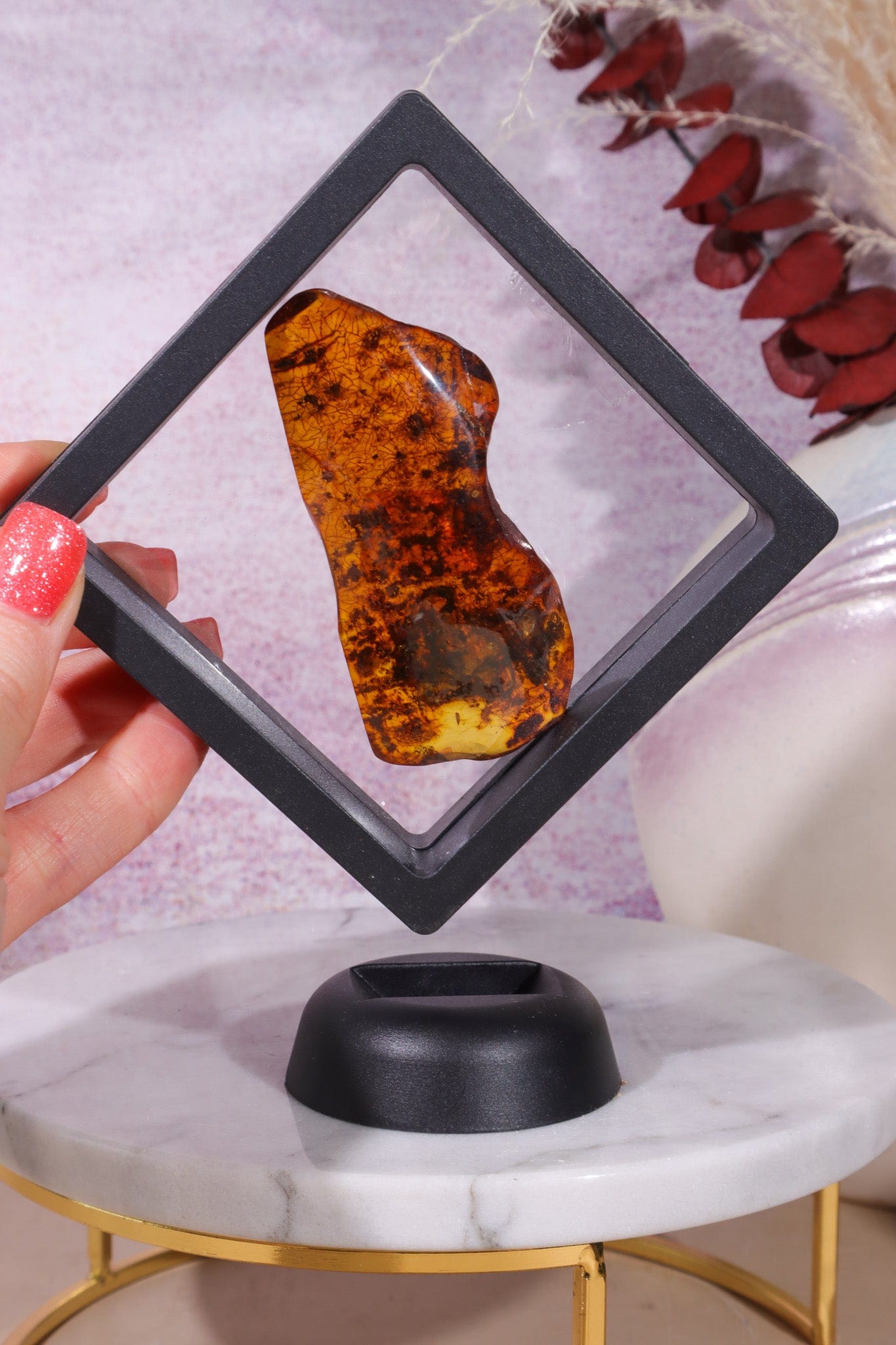 Floating Transparent Display Case Specimen Stand Tali & Loz Crystals