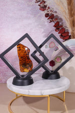 Floating Transparent Display Case Specimen Stand Tali & Loz Crystals