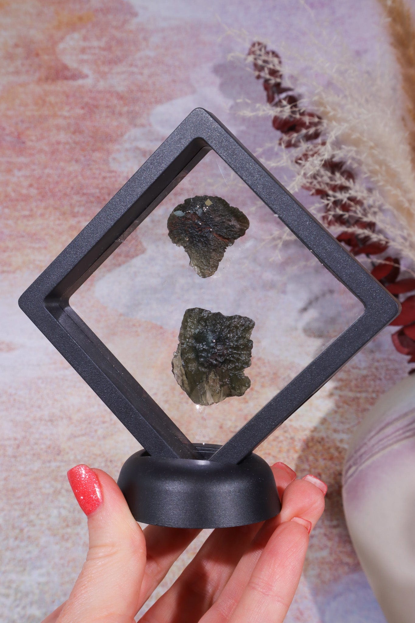 Floating Transparent Display Case Specimen Stand Tali & Loz Crystals