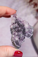 Flower Amethyst Specimen 6cm, Uruguay Specimen Tali & Loz Crystals