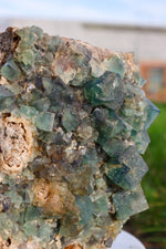 Fluorite in Galena Mineral 2.7KG , Rogerley Mine, UK Minerals Tali & Loz Crystals