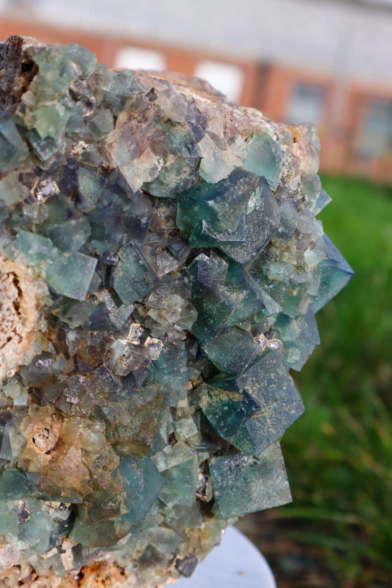 Fluorite in Galena Mineral 2.7KG , Rogerley Mine, UK Minerals Tali & Loz Crystals