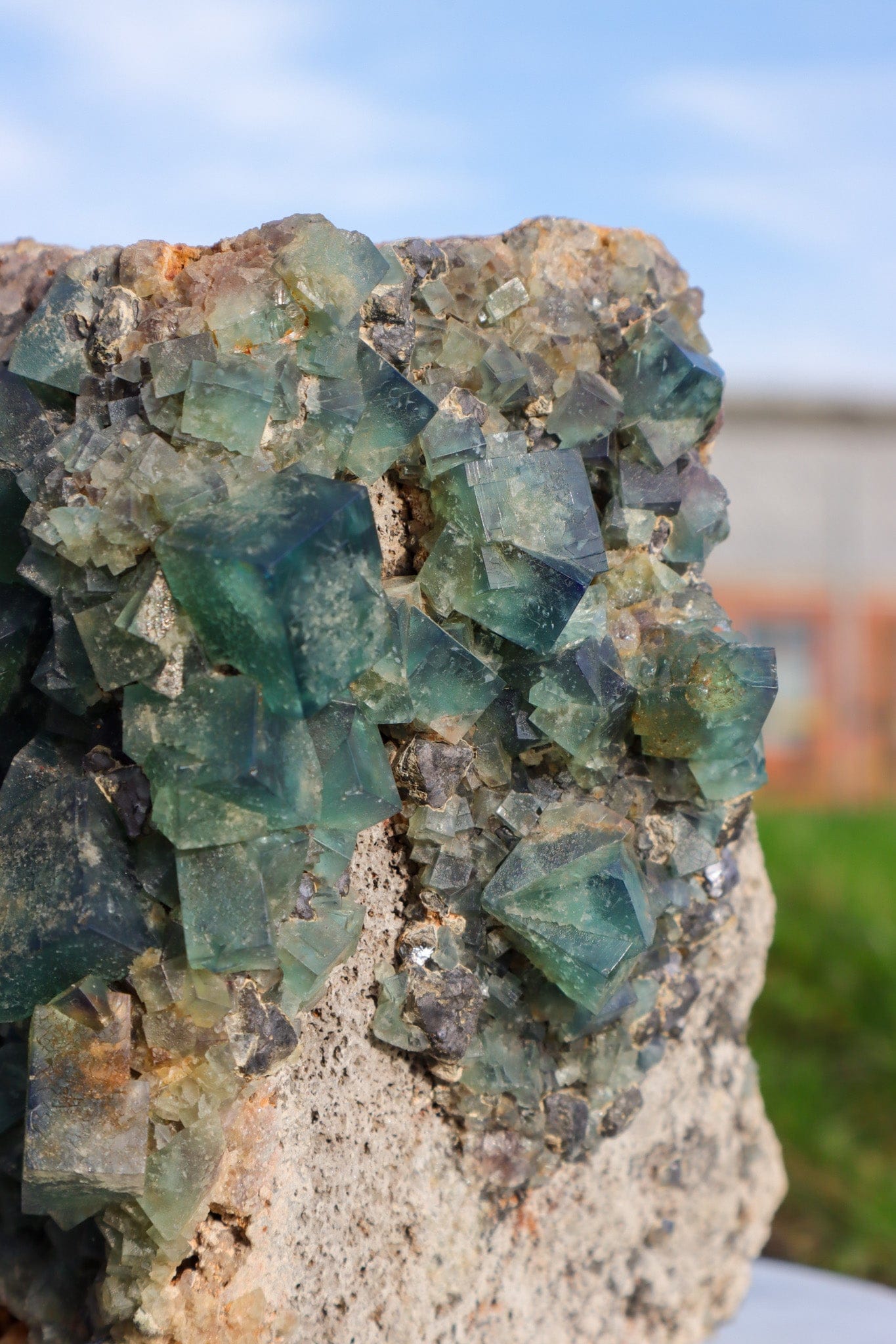 Fluorite in Galena Mineral 2.7KG , Rogerley Mine, UK Minerals Tali & Loz Crystals