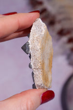 Fluorite Specimen 35.5gr, Mongolia, China Minerals Tali & Loz Crystals