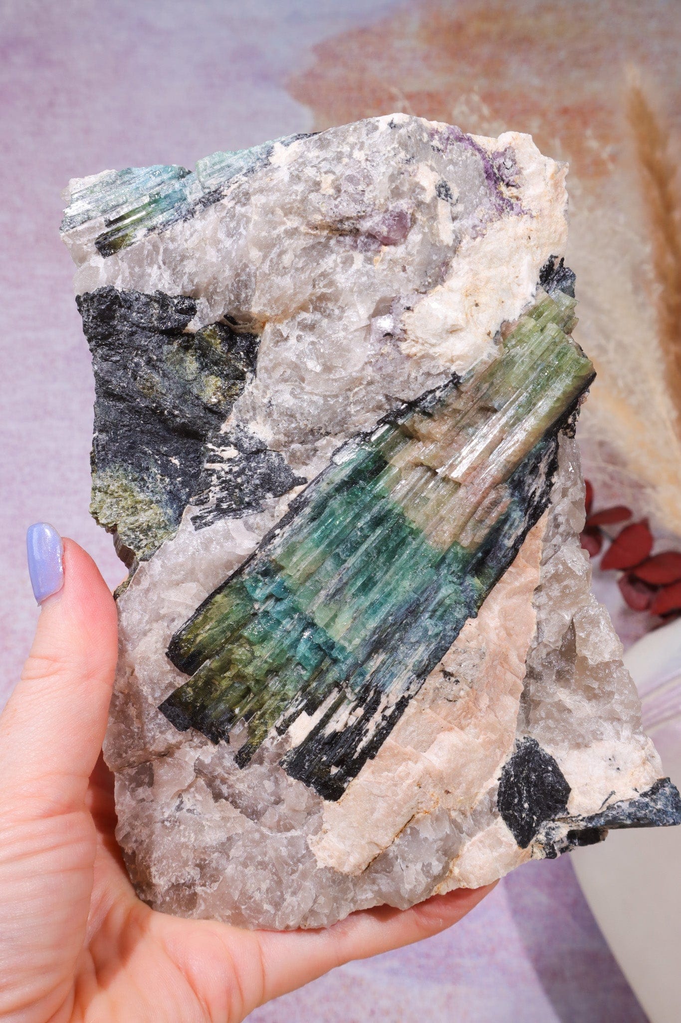 Free Standing Multicolour Tourmaline From Quebec, Canada Specimen Tali & Loz Crystals