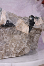 Free Standing Multicolour Tourmaline From Quebec, Canada Specimen Tali & Loz Crystals